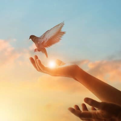 Dove Representing Holy Spirit