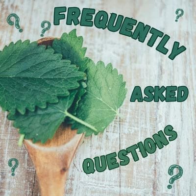 Leaves of lemon balm in a wooden spoon with Frequently Asked Questions written on right in green