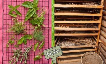 Example of herb drying racks