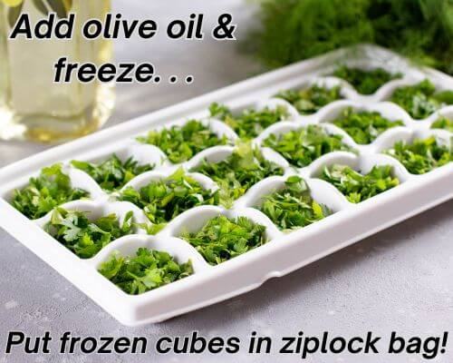 Ice cube tray with herbs ready for olive oil to be added