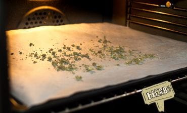 Example of herbs drying in an oven