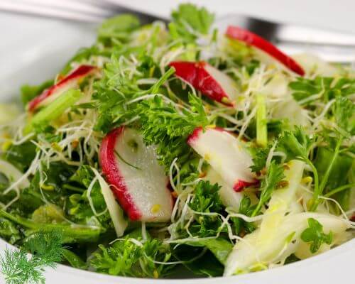 Thin slices of fennel on salad with radishes