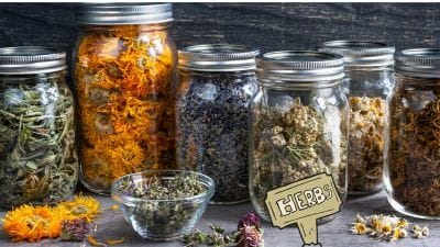 Various herbs in jars