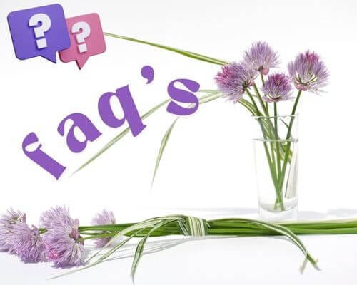 Flowering chives with faq's written across it with question marks in upper left corner