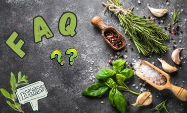 FAQ written on table with herbs and scoops scattered on right hand side