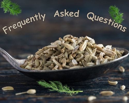 Spoonful of fennel seed with Frequently Asked Questions above