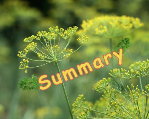 Summary with background of fennel in bloom