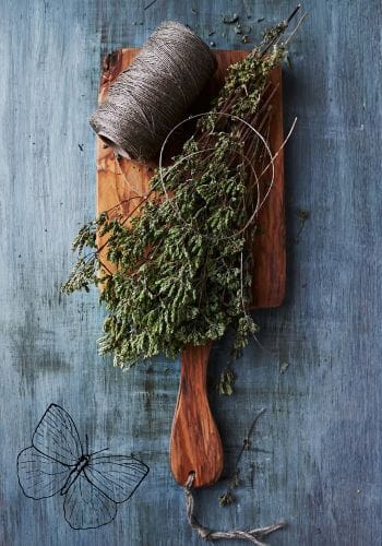 Oregano on paddle with roll of twine prepared for hanging