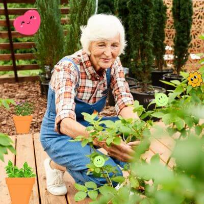 Woman squatting down with an oregano plant