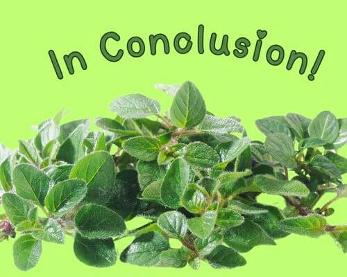 In Conclusion written above a cluster of green oregano