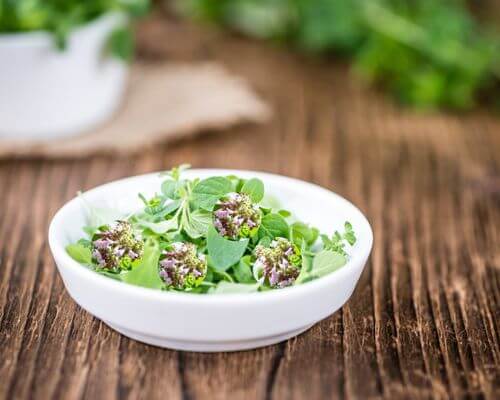 Salad bowl with salad and ornamental oregano inside