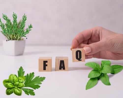 Scattered herbs on white table with Scrabble letters "FAQ" being lined up.