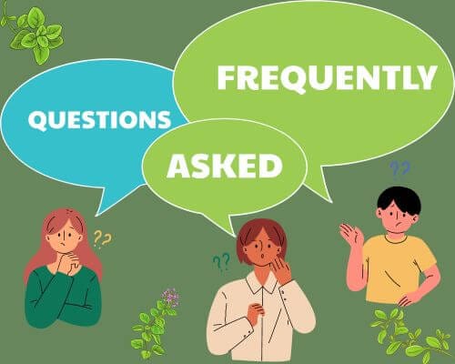 Three people (graphics) under 3 bubbles with frequently asked questions and green herbs scattered about