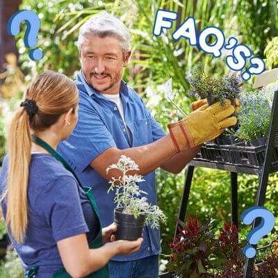 Woman asking gardener a question