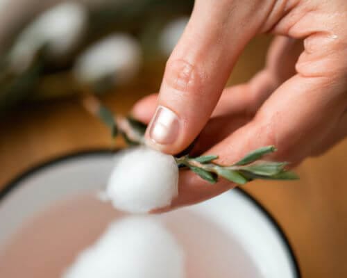 Person holding a cotton ball with a sprig of rosemary over a cup of water